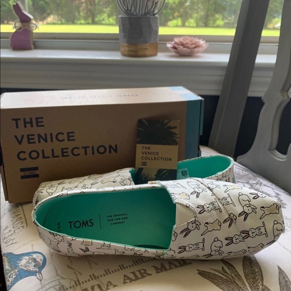 toms white bunny canvas women's classics